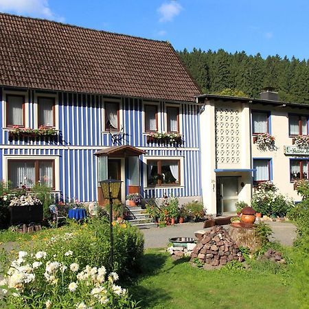 Haus Gruene Insel - Ferienwohnungen Альтенау Экстерьер фото