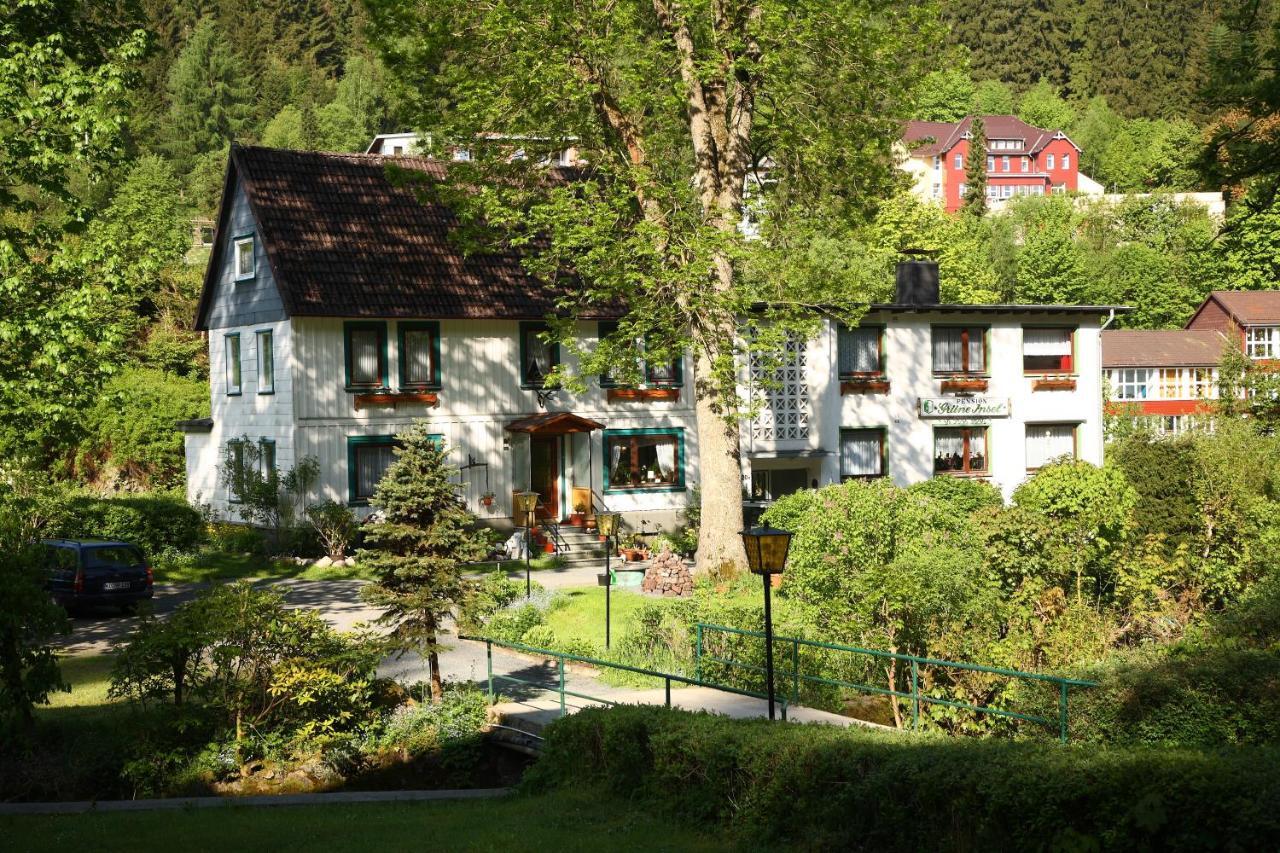 Haus Gruene Insel - Ferienwohnungen Альтенау Экстерьер фото